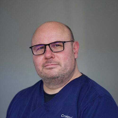 Daniel Crnkovic
